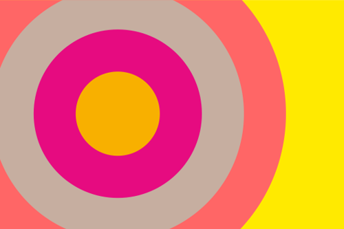 Expertise & Organisation